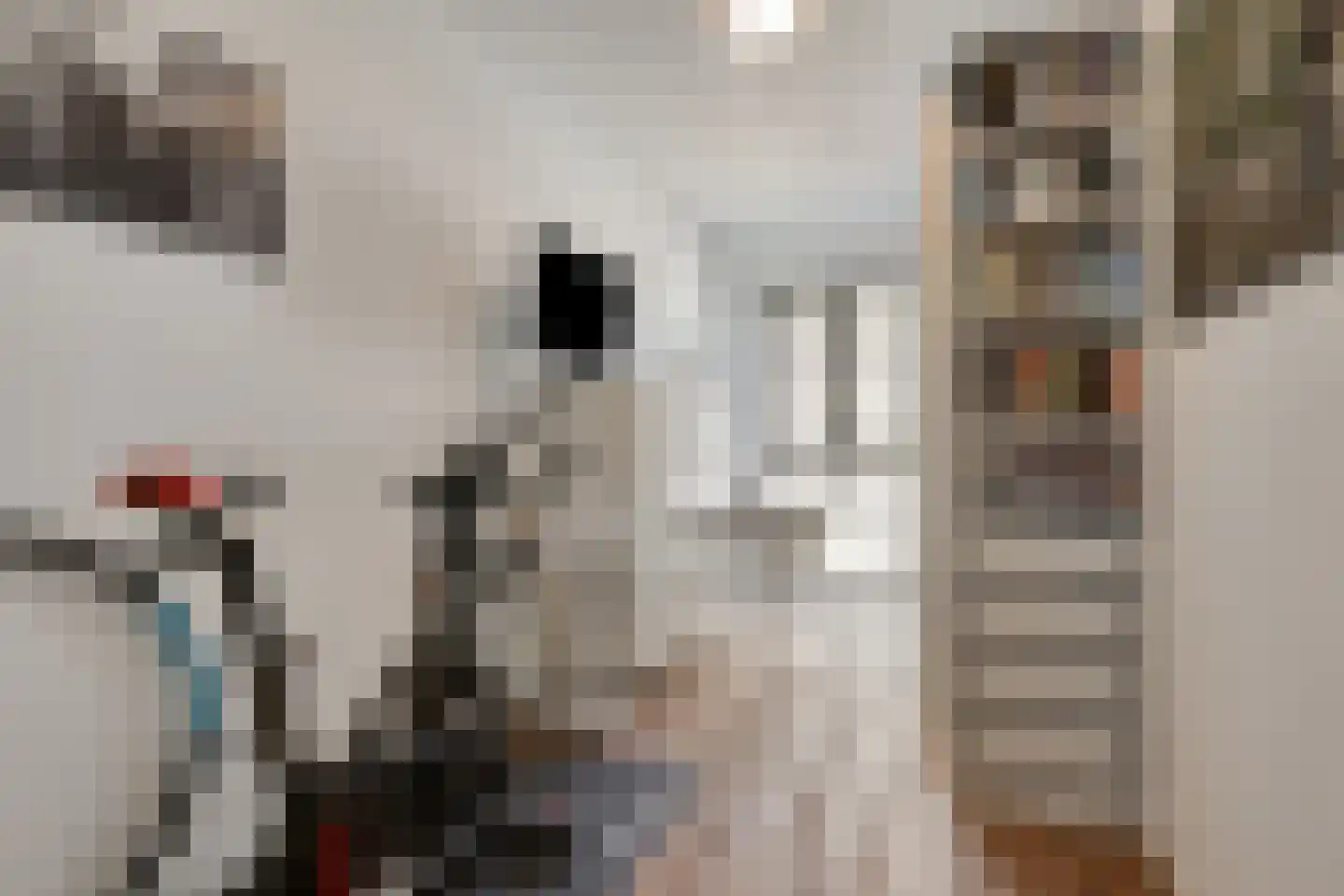 Jonkheer 35 Geldrop thumbnail 19