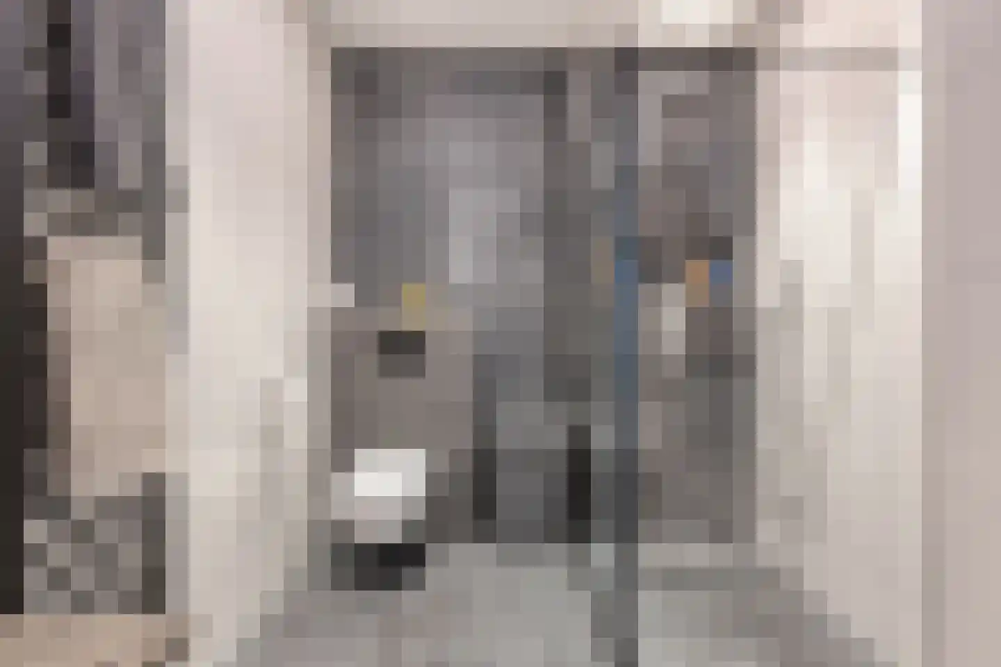 Jonkheer 35 Geldrop thumbnail 20