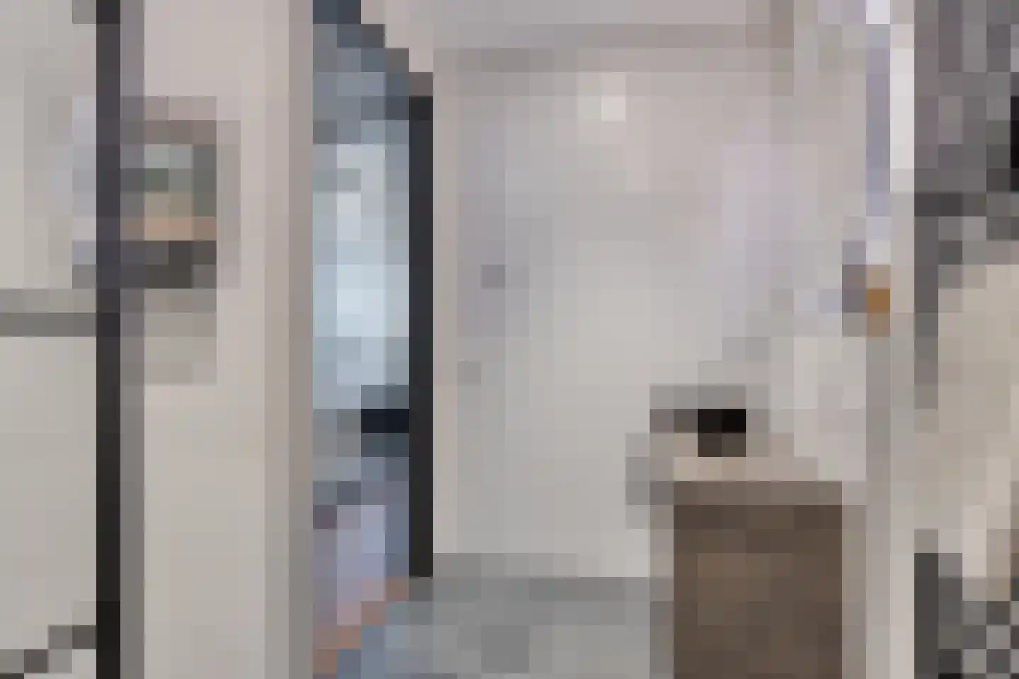 Jonkheer 35 Geldrop thumbnail 21