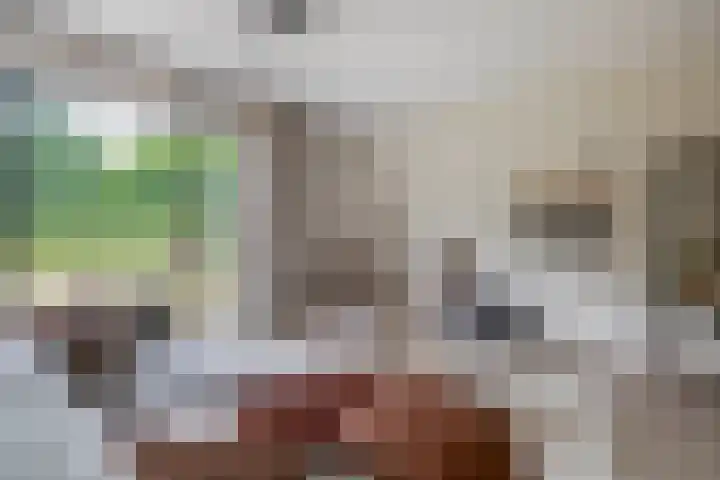 Jonkheer 47 Geldrop thumbnail 18