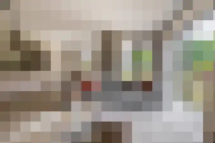 Jonkheer 47 Geldrop thumbnail 20