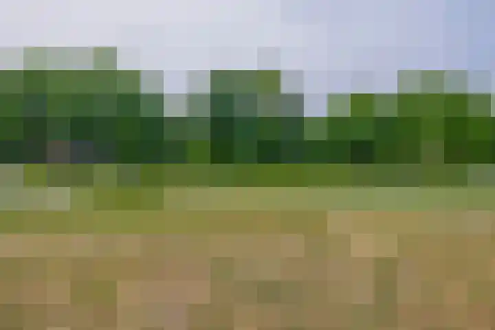 Jonkheer 47 Geldrop thumbnail 28