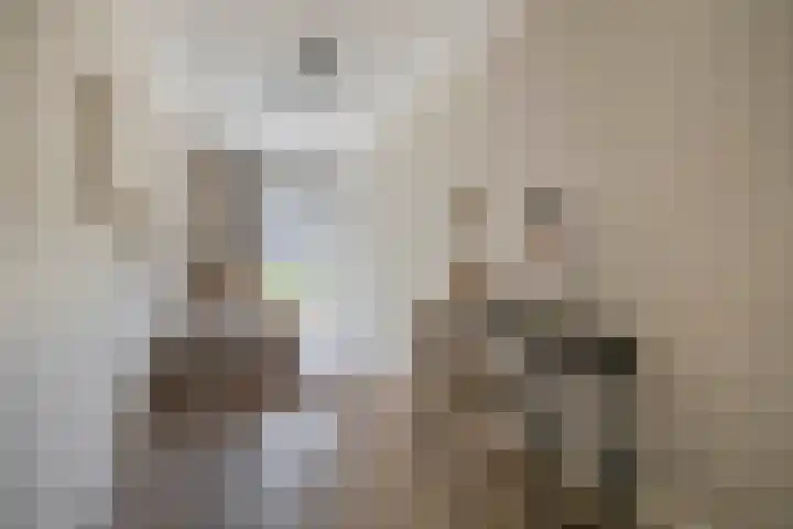 Jonkheer 47 Geldrop thumbnail 29
