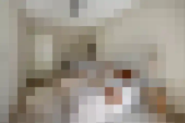 Jonkheer 47 Geldrop thumbnail 31