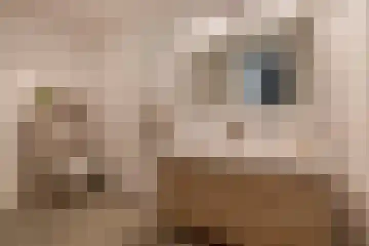 Jonkheer 47 Geldrop thumbnail 32