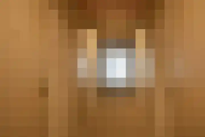 Jonkheer 47 Geldrop thumbnail 36