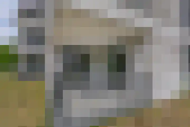 Jonkheer 47 Geldrop thumbnail 44