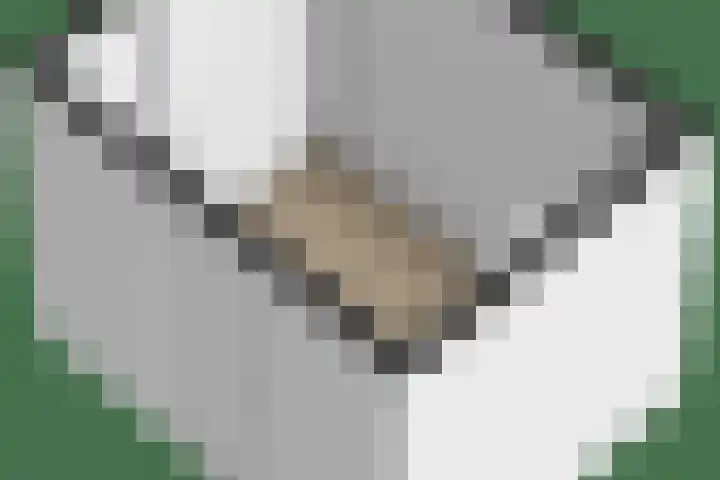 Jonkheer 47 Geldrop thumbnail 51