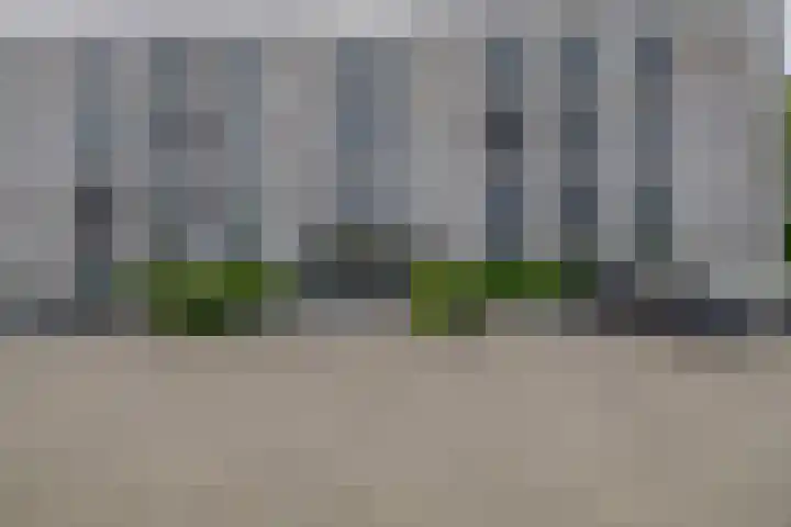 Jonkheer 47 Geldrop thumbnail 6