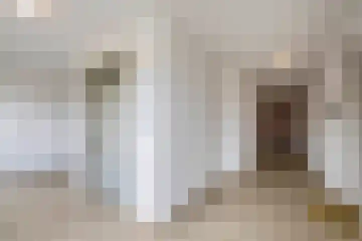 Jonkheer 47 Geldrop thumbnail 9