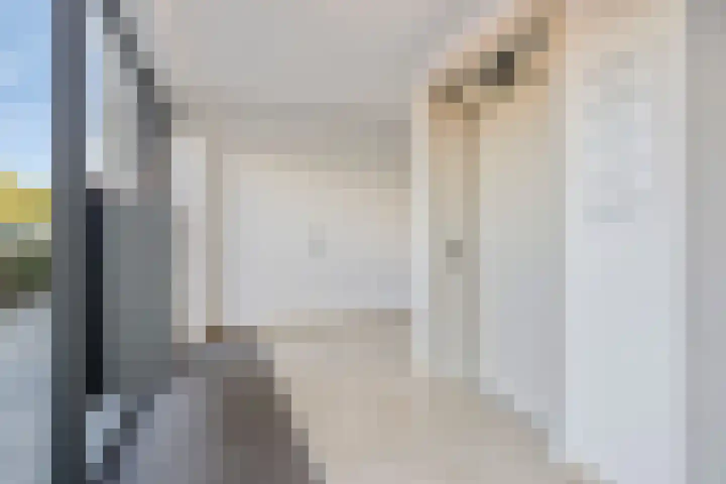 Jonkheer 48 Geldrop thumbnail 12