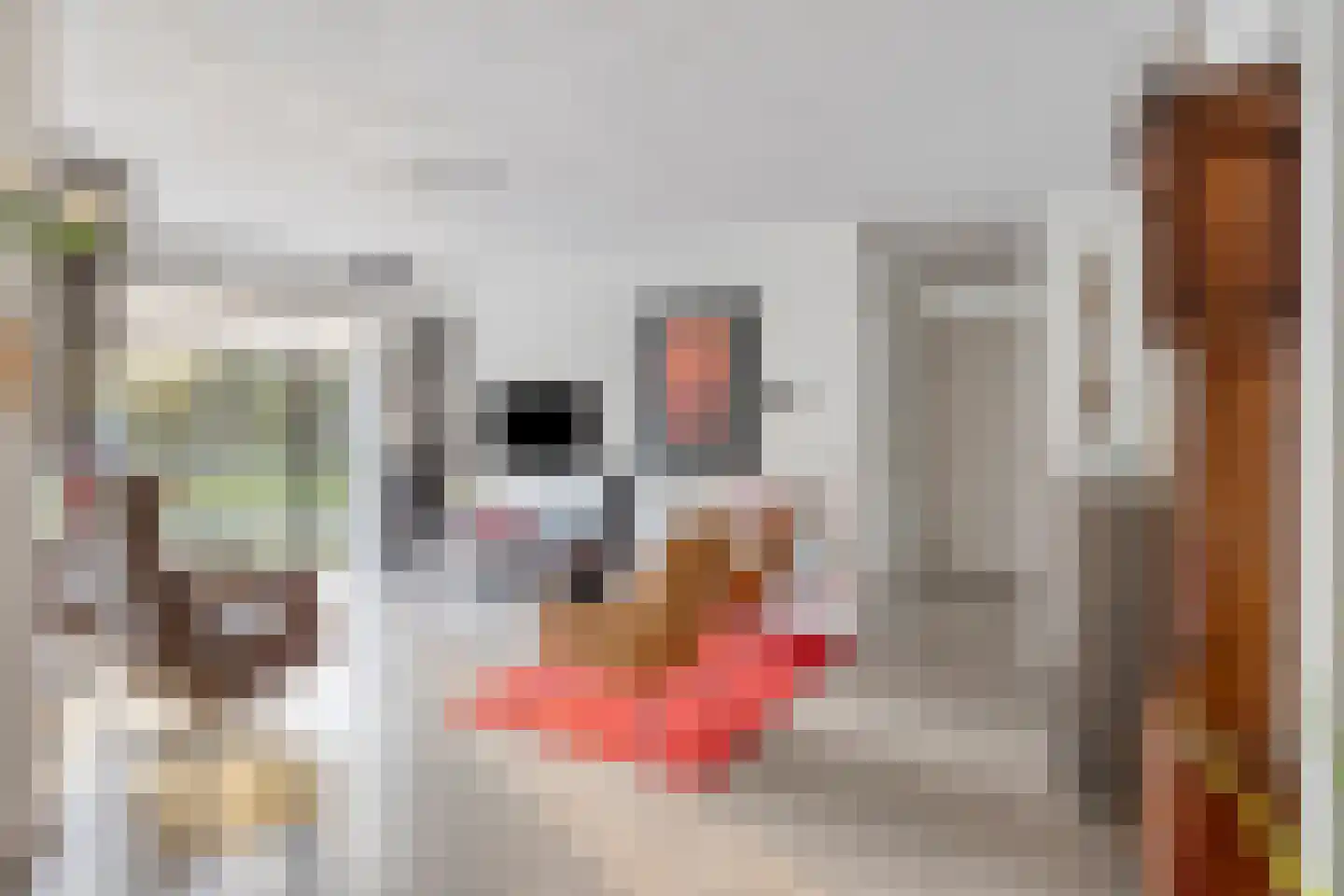 Jonkheer 48 Geldrop thumbnail 15
