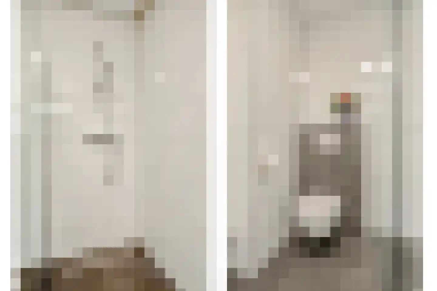 Jonkheer 48 Geldrop thumbnail 35