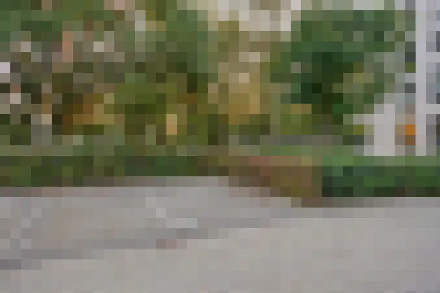 Jonkheer 48 Geldrop thumbnail 39