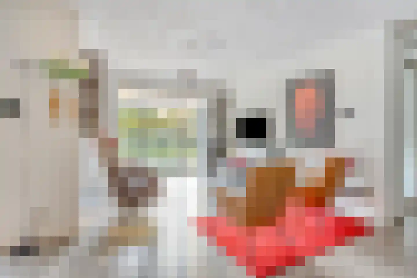 Jonkheer 48 Geldrop thumbnail 4