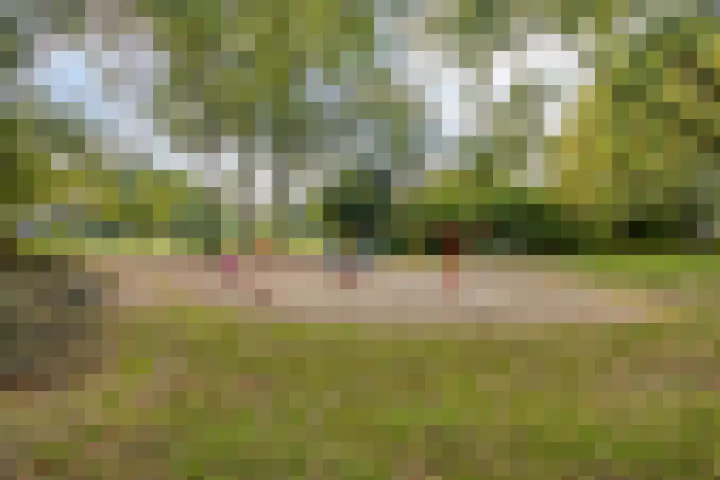 Jonkheer 48 Geldrop thumbnail 47