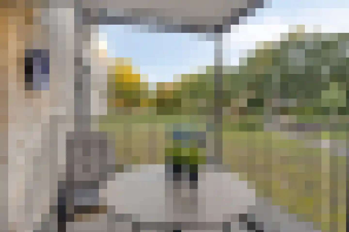 Jonkheer 48 Geldrop thumbnail 5