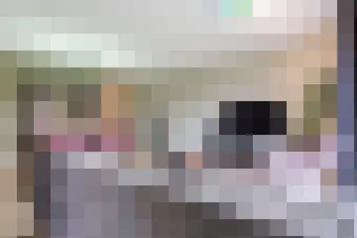 Jonkheer 49 Geldrop thumbnail 21