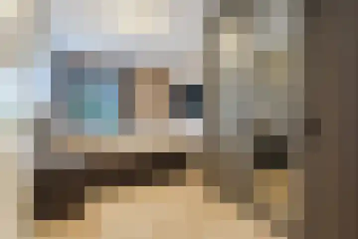 Jonkheer 49 Geldrop foto 3
