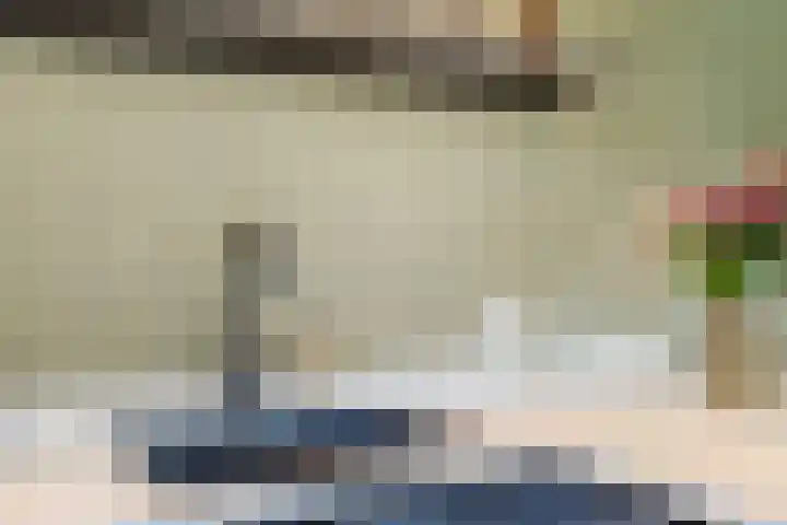 Jonkheer 49 Geldrop thumbnail 32