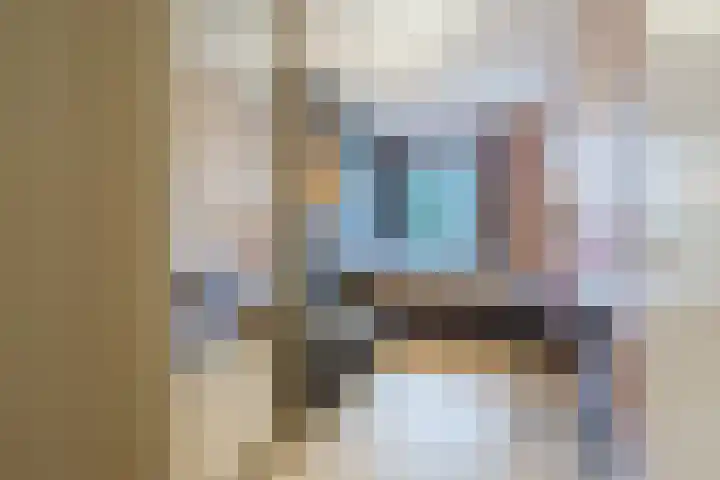 Jonkheer 49 Geldrop thumbnail 37