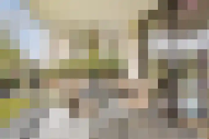 Jonkheer 49 Geldrop thumbnail 4