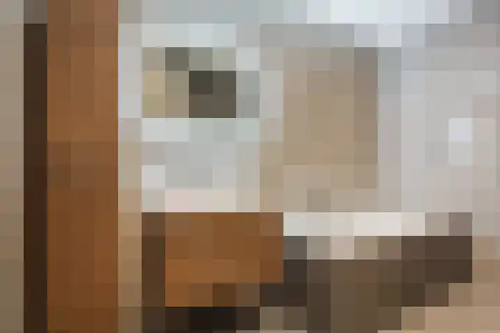 Jonkheer 49 Geldrop thumbnail 40