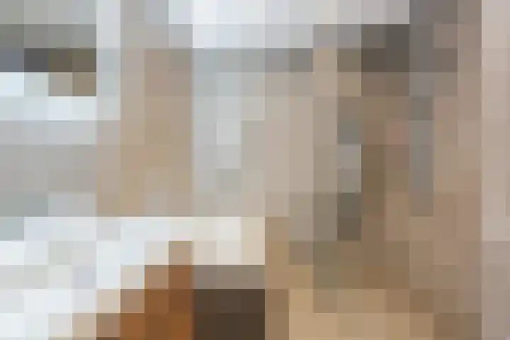 Jonkheer 49 Geldrop thumbnail 42
