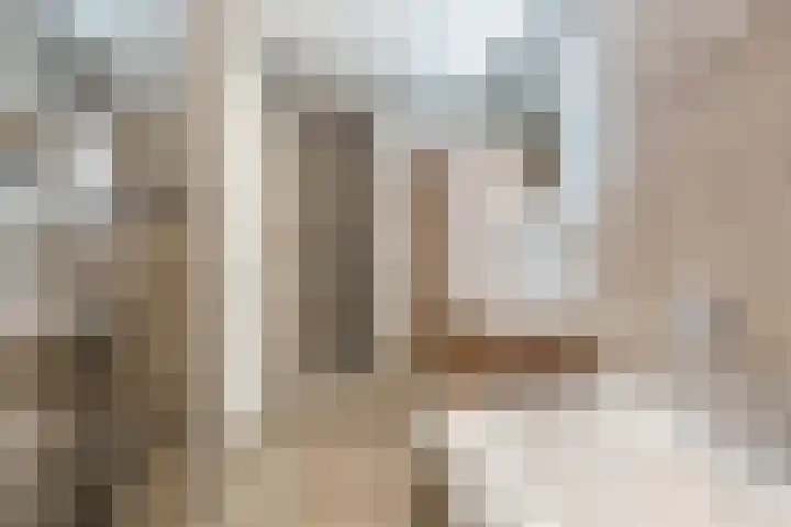 Jonkheer 49 Geldrop thumbnail 43