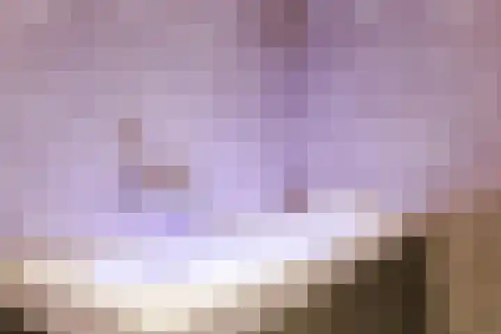 Jonkheer 49 Geldrop thumbnail 44
