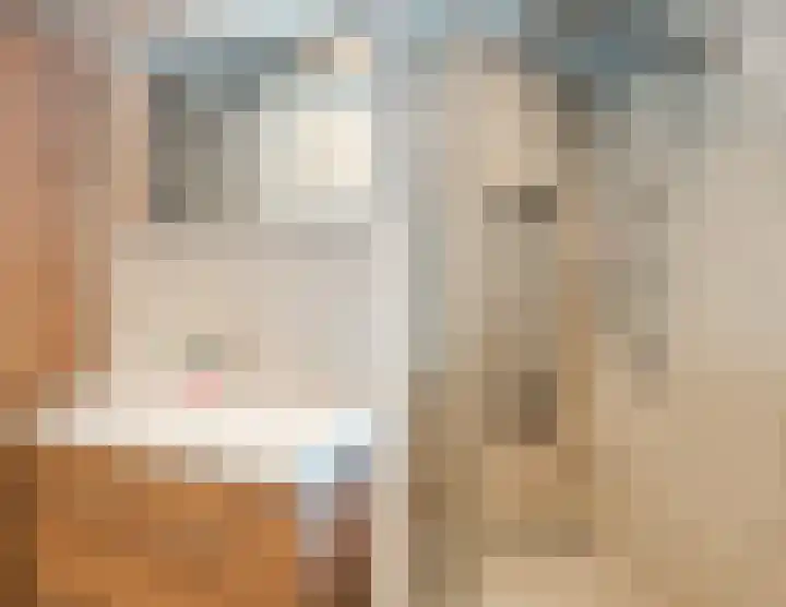 Jonkheer 49 Geldrop thumbnail 47