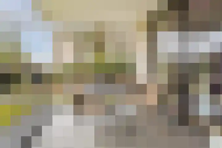 Jonkheer 49 Geldrop thumbnail 50