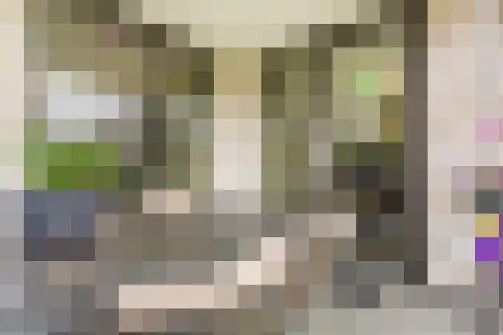 Jonkheer 49 Geldrop thumbnail 51