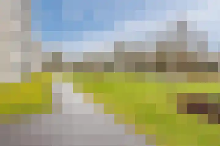 Jonkheer 49 Geldrop thumbnail 53
