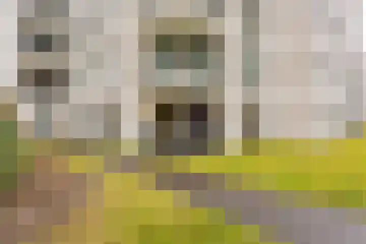 Jonkheer 49 Geldrop thumbnail 54