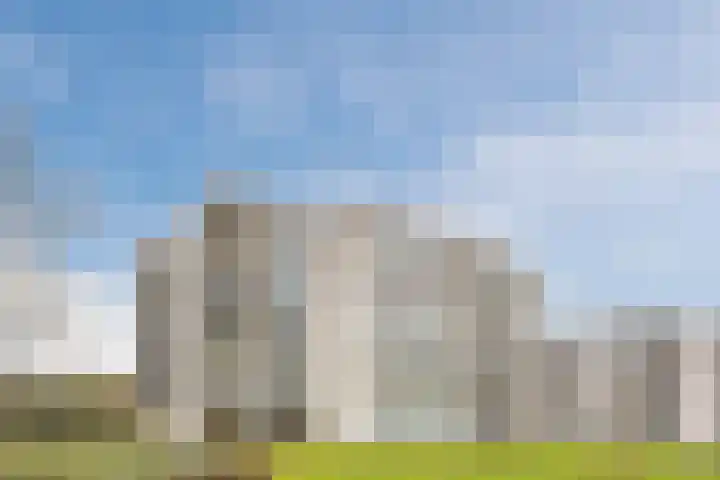 Jonkheer 49 Geldrop thumbnail 56
