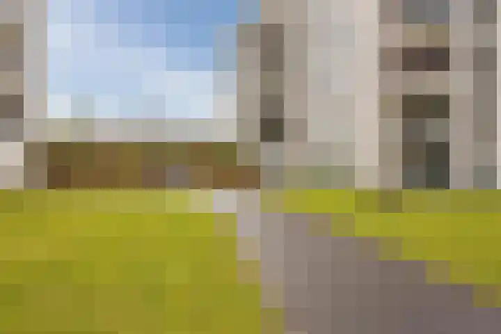 Jonkheer 49 Geldrop thumbnail 58