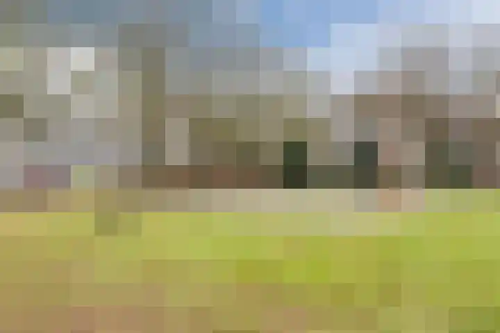 Jonkheer 49 Geldrop thumbnail 65
