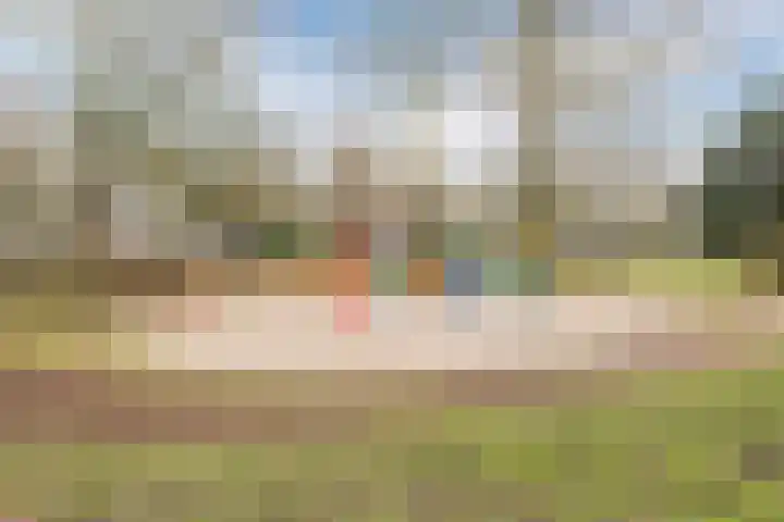 Jonkheer 49 Geldrop thumbnail 66
