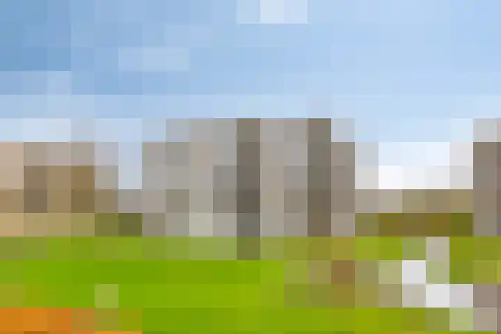 Jonkheer 64 Geldrop