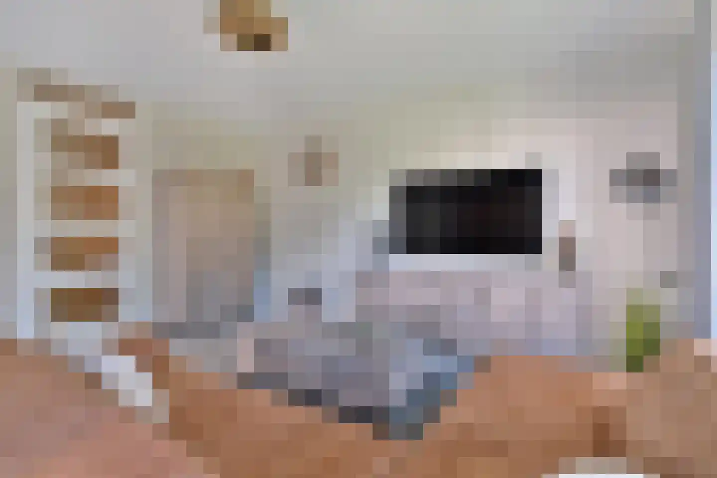 Jonkheer 7 Geldrop thumbnail 10