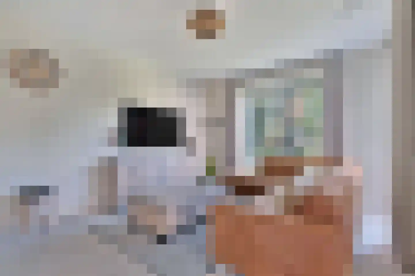 Jonkheer 7 Geldrop thumbnail 11