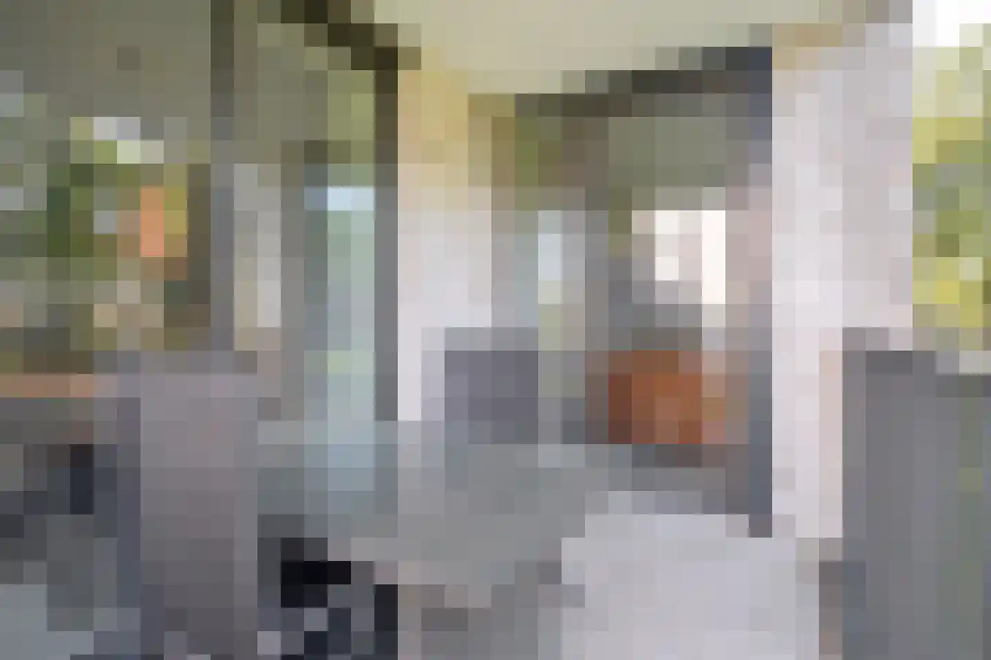 Jonkheer 7 Geldrop thumbnail 24