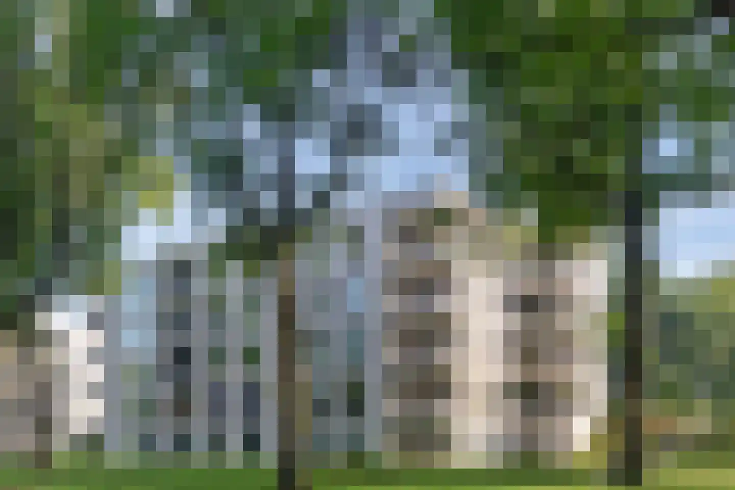 Jonkheer 7 Geldrop thumbnail 26