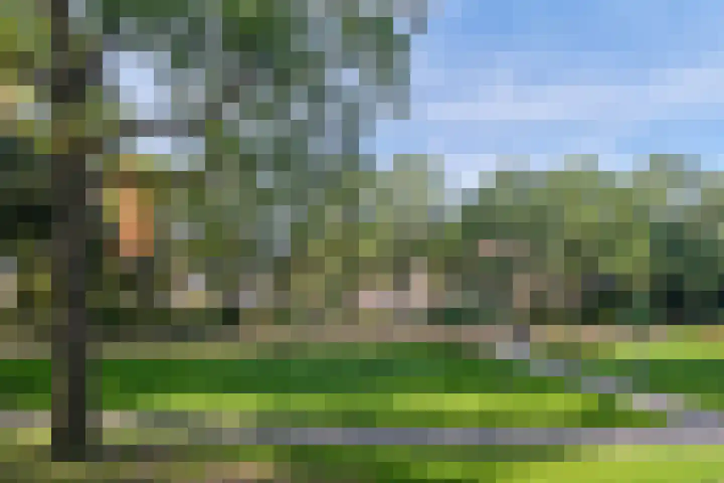 Jonkheer 7 Geldrop thumbnail 27