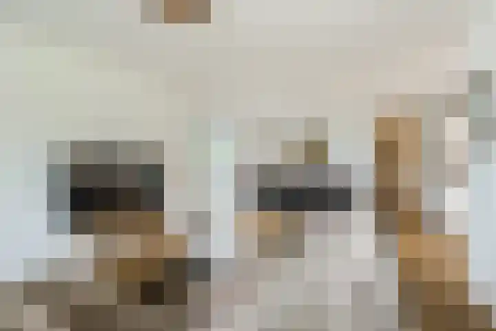 Jonkheer 8 Geldrop thumbnail 10