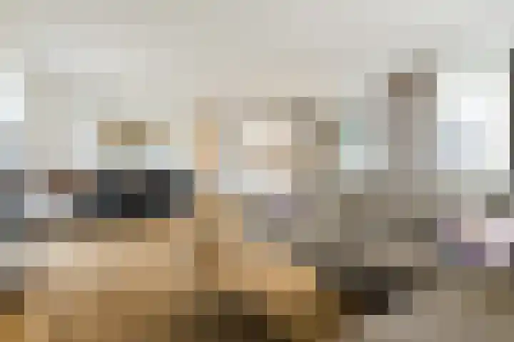 Jonkheer 8 Geldrop thumbnail 11