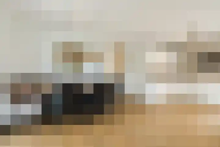Jonkheer 8 Geldrop thumbnail 13