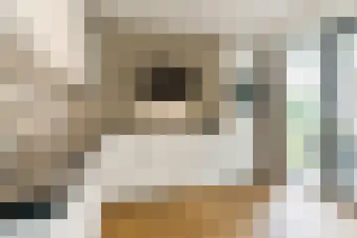 Jonkheer 8 Geldrop thumbnail 14