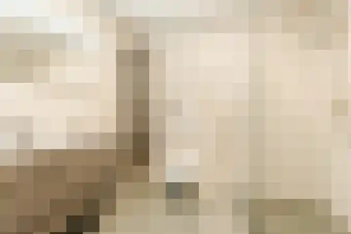 Jonkheer 8 Geldrop thumbnail 17